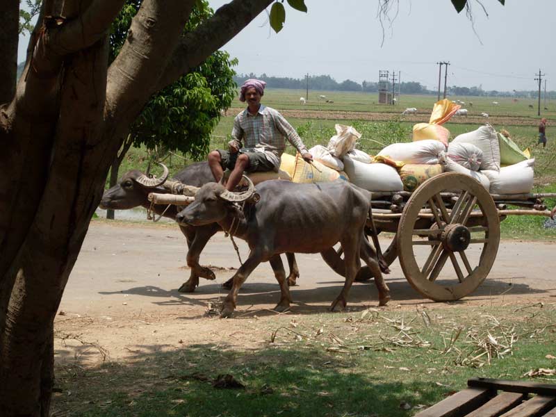 Agri Project in Jharkhand